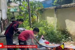 Nam sinh thoát chết khi diều vướng đường dây điện