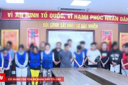 Xóa ổ nhóm lừa đảo trên không gian mạng, hoạt động tinh vi và khép kín