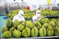 Xuất nhập khẩu hàng hóa 8 tháng năm 2026 tháng tăng gần 29%