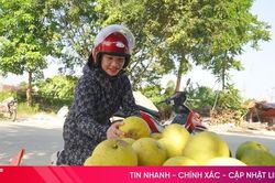 Độc đáo phiên chợ 'đệ nhất danh quả' ở Hà Tĩnh