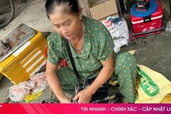 Lại 'nóng' săn bắt, tiêu thụ chim trời