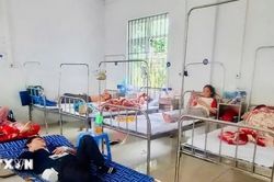 Gia Lai: Xác định Salmonella là tác nhân gây ngộ độc tại cơ sở bánh mỳ ở An Khê