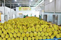 Nông sản Việt chuyển lợi thế sang giá trị và thương hiệu
