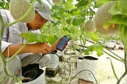 Mở rộng dư địa hợp tác nông nghiệp công nghệ cao Việt Nam - Thái Lan