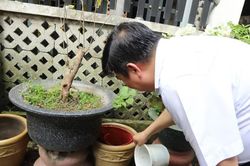 Trang bị 'lá chắn kép' để chủ động ứng phó dịch sốt xuất huyết