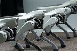 Cách Trung Quốc sử dụng chó robot, AI để bảo đảm an toàn nhà máy điện hạt nhân