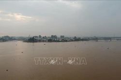 Cảnh báo lũ trên sông Đồng Nai