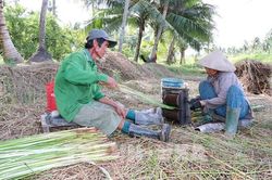 Nông nghiệp ở Vĩnh Long: Chuyển tư duy, đổi cuộc đời
