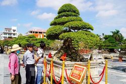 'Xanh quê ngày trở về' - Nơi hội tụ những tác phẩm sinh vật cảnh độc đáo