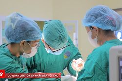 Tông chó thả rông, người đàn ông nhập viện
