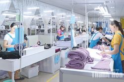 Hỗ trợ doanh nghiệp thực thi các FTA, mở rộng cánh cửa xuất khẩu