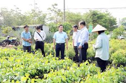 Phát huy vai trò “cánh tay nối dài” của Liên minh Hợp tác xã