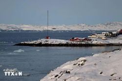 EU tăng đầu tư vào Greenland giữa sức ép từ Mỹ