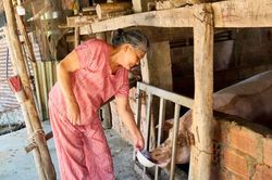 Nối dài hồi sinh sau thiên tai
