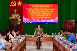 Ban Pháp chế HĐND tỉnh Gia Lai giám sát công tác phòng cháy, chữa cháy tại xã Đề Gi