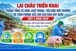 Lai Châu triển khai Tháng tổng vệ sinh, khử trùng, tiêu độc môi trường và tiêm phòng vắc xin cho đàn vật nuôi đợt 2 năm 2026