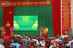 Trịnh Tường: Tuyên truyền phát triển kinh tế tập thể, liên kết hợp tác và khởi nghiệp nông thôn cho hội viên nông dân