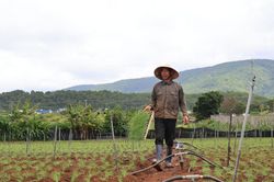 Hạ tầng vùng chuyên canh: Từ cứng hóa đến hiện đại hóa