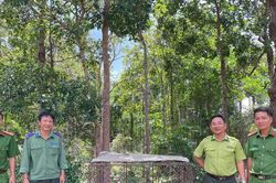 Tân Thành phối hợp thả 1 cá thể khỉ đuôi dài quý hiếm về tự nhiên