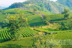 Phú Thọ đưa sản phẩm OCOP vào chuỗi giá trị du lịch