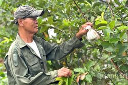 Khơi dậy khát vọng thoát nghèo
