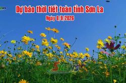 Dự báo thời tiết toàn tỉnh Sơn La ngày 8/9/2026