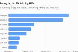 Thái Nguyên dẫn đầu cả nước về thu hút FDI