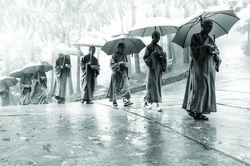Chiều tóc trắng