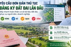 Yêu cầu đơn giản thủ tục đăng ký đất đai lần đầu