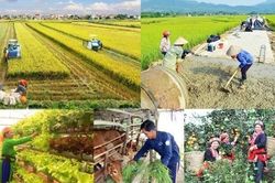 Giải ngân vốn các chương trình mục tiêu quốc gia còn chậm