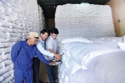 Cục Dự trữ Nhà nước bán đấu giá hơn 128.000 tấn gạo dự trữ quốc gia