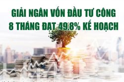 Infographics: 8 tháng, giải ngân vốn đầu tư công cả nước đạt 509.557,5 tỷ đồng