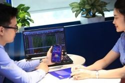 35 doanh nghiệp chốt quyền cổ tức trong tuần này