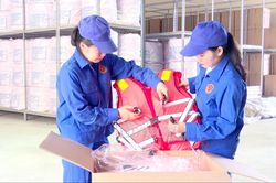 Danh mục chi tiết hàng dự trữ quốc gia do Bộ Tài chính trực tiếp quản lý