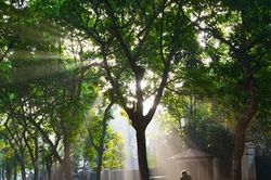 Dự báo thời tiết ngày 7/9: Miền Bắc nắng mạnh, Hà Nội cao nhất 34 độ