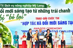 HTX Dịch vụ nông nghiệp Mỹ Long: Đổi mới sáng tạo từ những trái chanh bị 'bỏ lại'