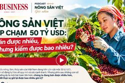 Nông sản Việt sắp chạm 50 tỷ USD: Bán được nhiều, nhưng kiếm được bao nhiêu?