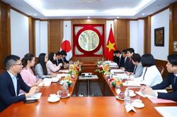 Việt Nam - Nhật Bản trao đổi hợp tác về văn hoá, thể thao, bản quyền