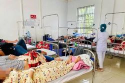 Xác định nguyên nhân dẫn đến 254 người ngộ độc sau khi ăn bánh mì