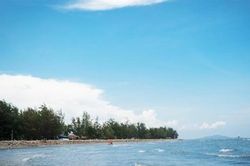 Thu lãi 166 tỷ đồng mỗi ngày, chủ siêu dự án lấn biển Cần Giờ lọt top 3 quy mô tài sản trên sàn chứng khoán
