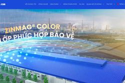Phó Chủ tịch thường trực HĐQT Thép Nam Kim (NKG) xin từ nhiệm