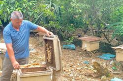 Chuyện làm giàu của nông dân Bế Văn Thuỵ