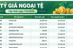 Tỷ giá ngoại tệ ngày 7/9: USD vượt 26.000 đồng, GBP gần 36.000 đồng