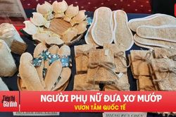 Xơ mướp Việt 'lên đời': Từ đồ chà nồi thành sản phẩm xuất khẩu