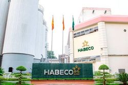 HABECO lãi lớn, phần mềm và máy móc còn lại bao nhiêu giá trị?