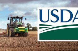 USDA nâng dự báo thu nhập nông trại năm 2026, chi phí sản xuất vẫn ở mức cao