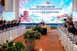 Hợp tác Việt Nam - Nhật Bản: Chung tay kiến tạo hệ sinh thái phát triển xanh