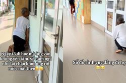 Xúc động clip 'cục vàng' đi mẫu giáo đã 3 ngày, ông vẫn dán mắt vào cửa lớp