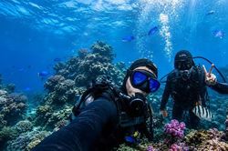 Biển nóng đe dọa những 'vườn san hô' ở đảo Jeju