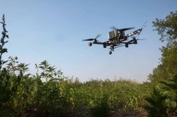 Hà Nội hỗ trợ kinh phí cho 100 nghiên cứu sinh giải bài toán của Thủ đô